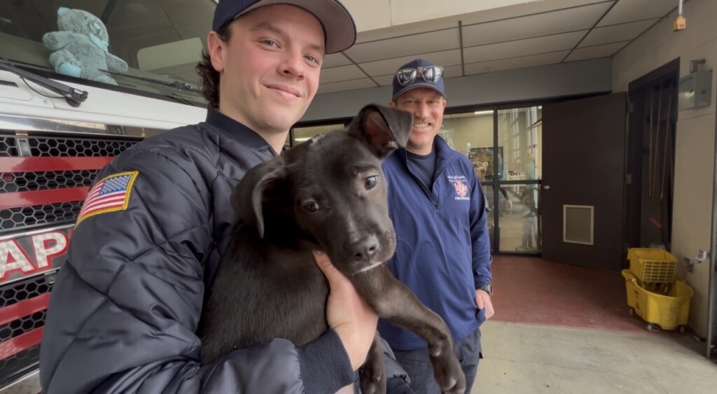 Image 2026 02 25t120639522